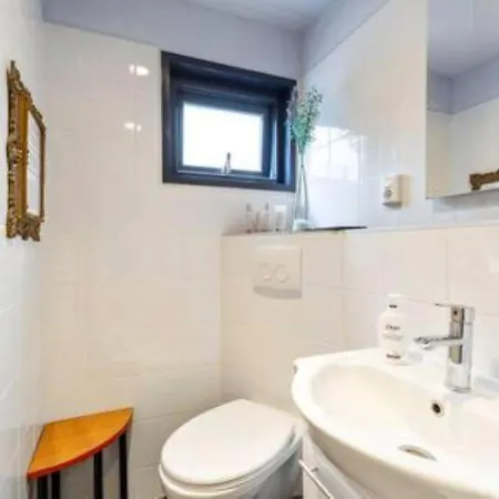 Authentic Dutch Houseboat In Amsterdam Zuid Villa Buitenkant foto